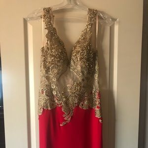Bicici & Coty formal gown